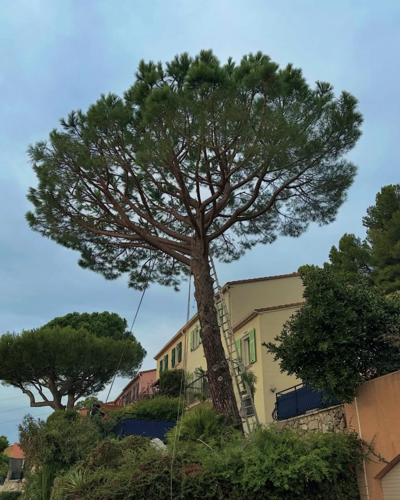 Jardin après transformation